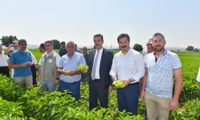 YENİŞEHİR BİBERİNİN MARKA DEĞERİNİ ARTIRACAĞIZ